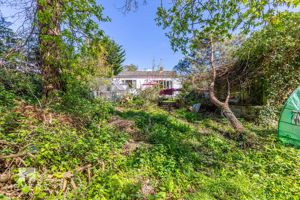 Photo 12- click for photo gallery